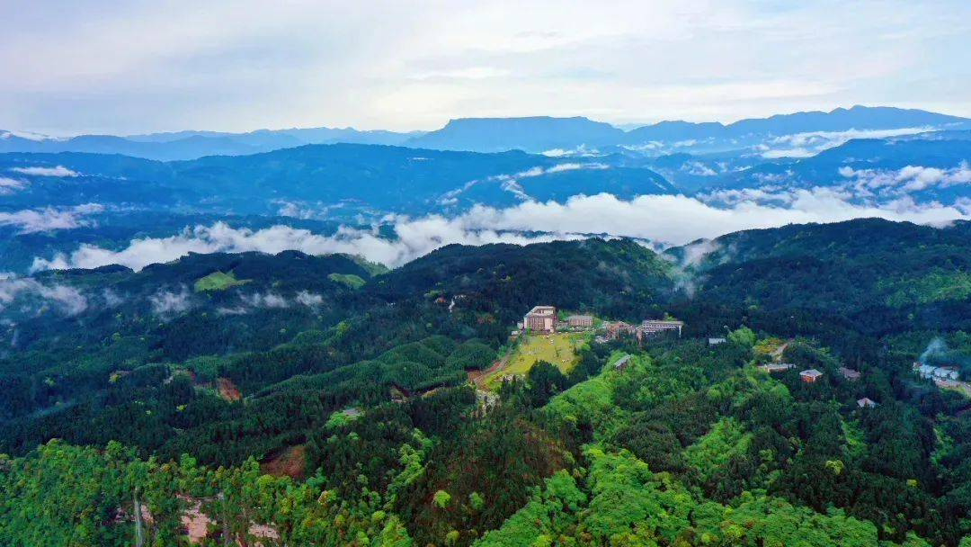 眉山市玉屏山森林康养基地